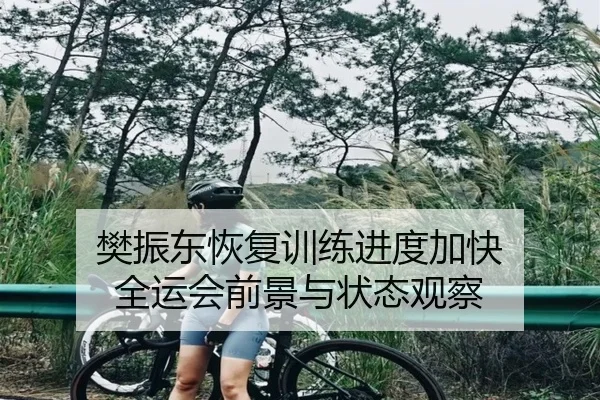 樊振东恢复训练进度加快 全运会前景与状态观察